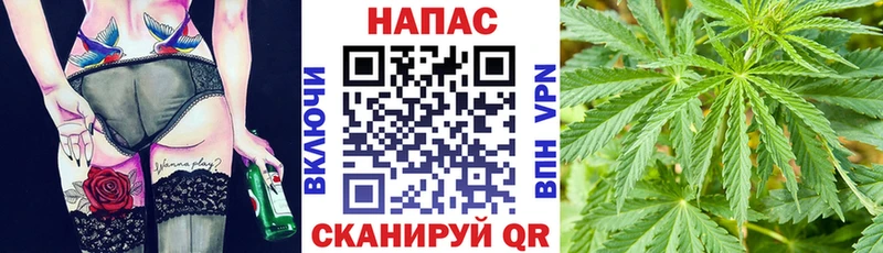 Бошки Шишки VHQ  Купить закладки  Тырныауз 